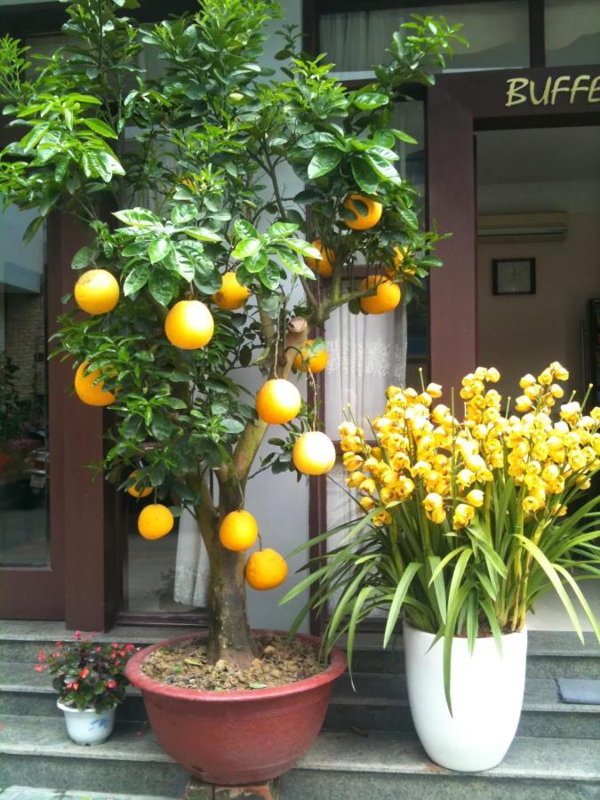 Thien Anh Hotel Hai Phong Exteriör bild